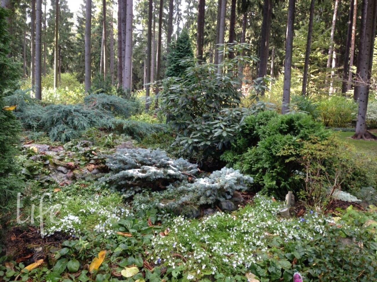 2-этажный коттедж 965 м² с отделкой