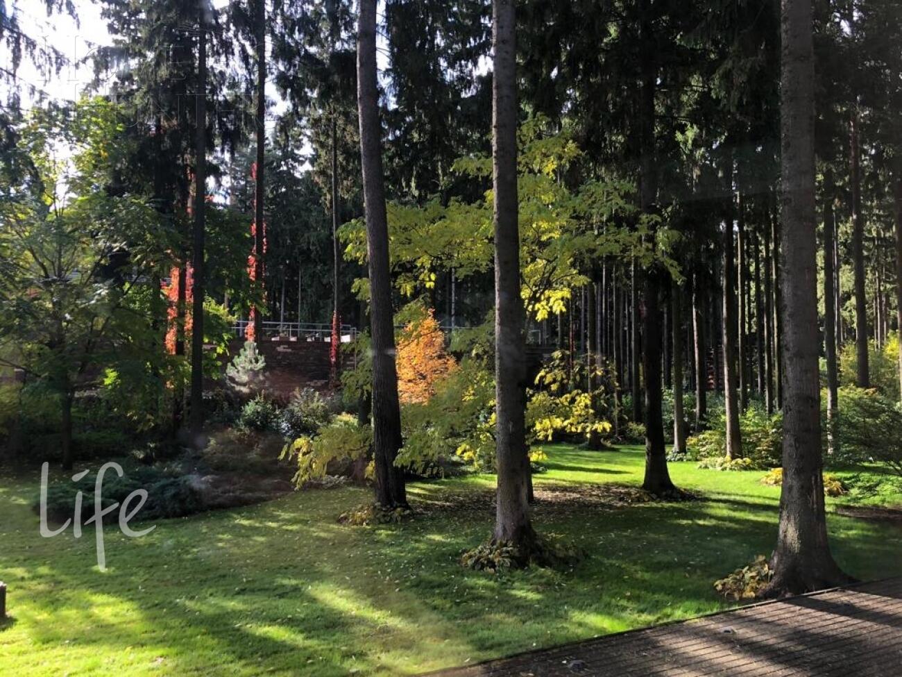 2-этажный коттедж 965 м² с отделкой