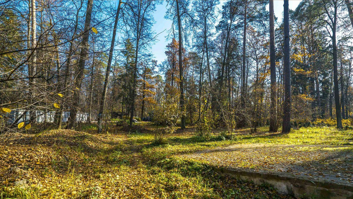 Участок 23.3 сот.