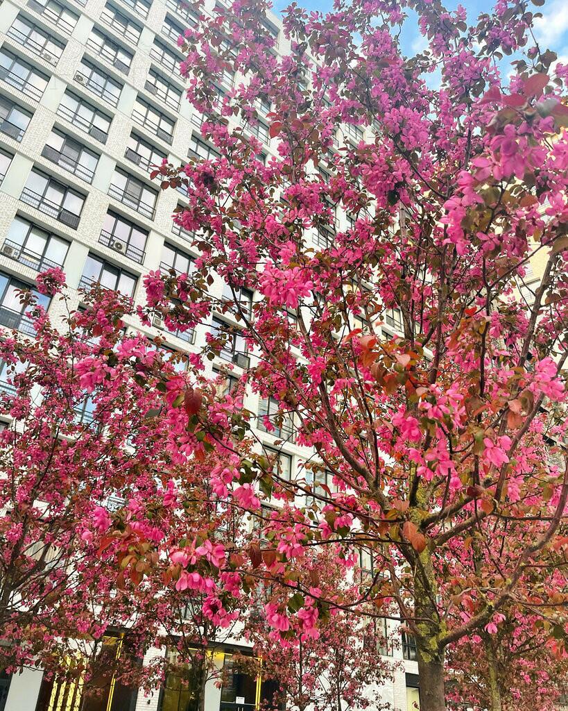 2-КОМН. КВАРТИРА С ОТДЕЛКОЙ 83.9 М² НА 16 ЭТАЖЕ