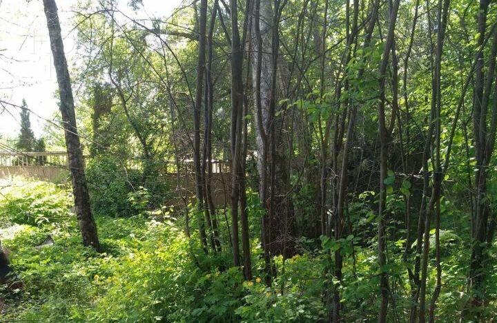 Участок 15 сот.