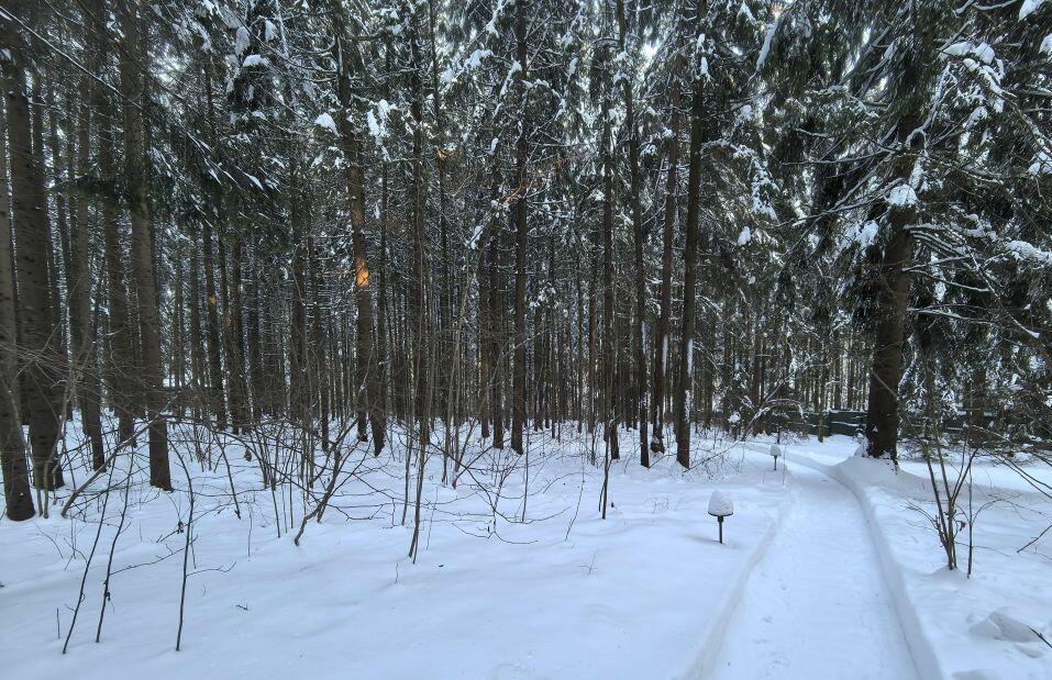 Участок 45 сот.