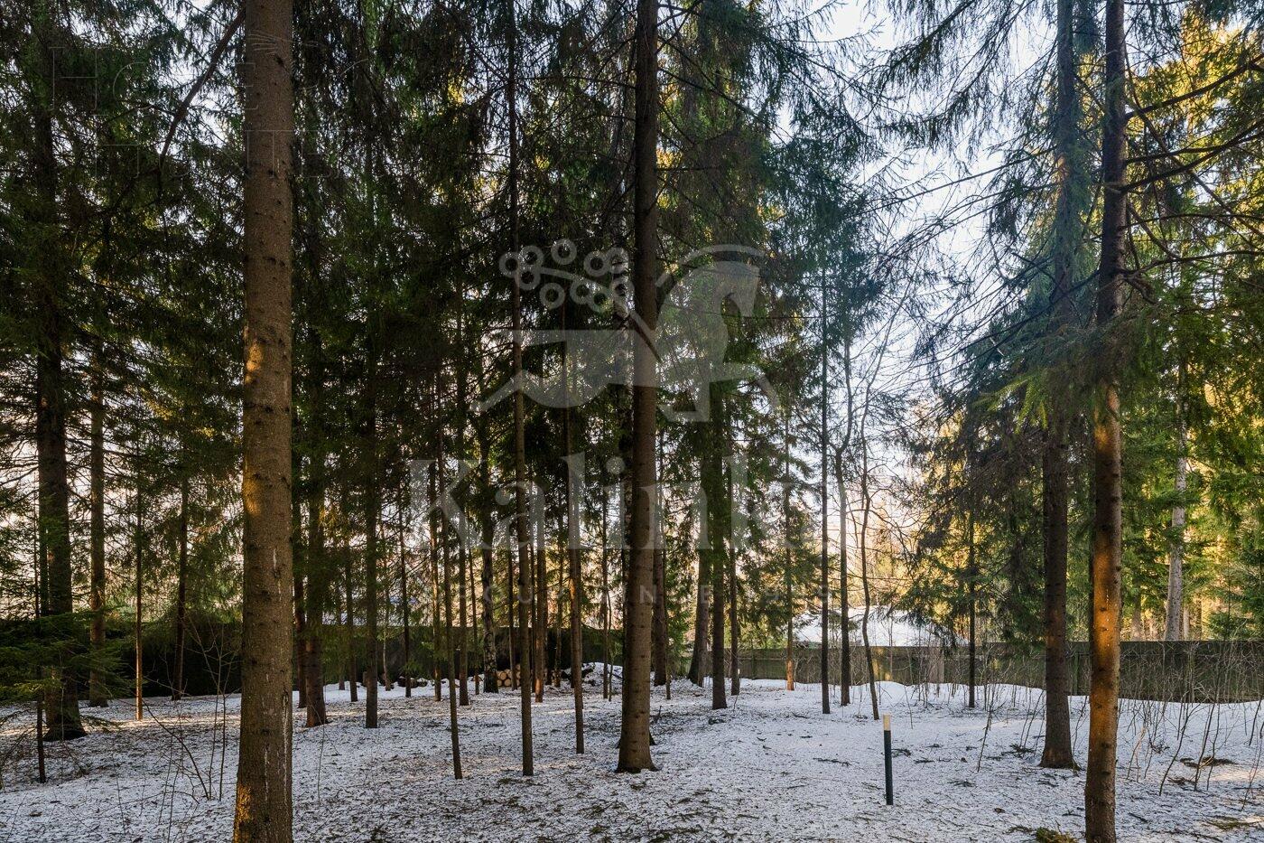 2-этажный коттедж 570 м² с отделкой