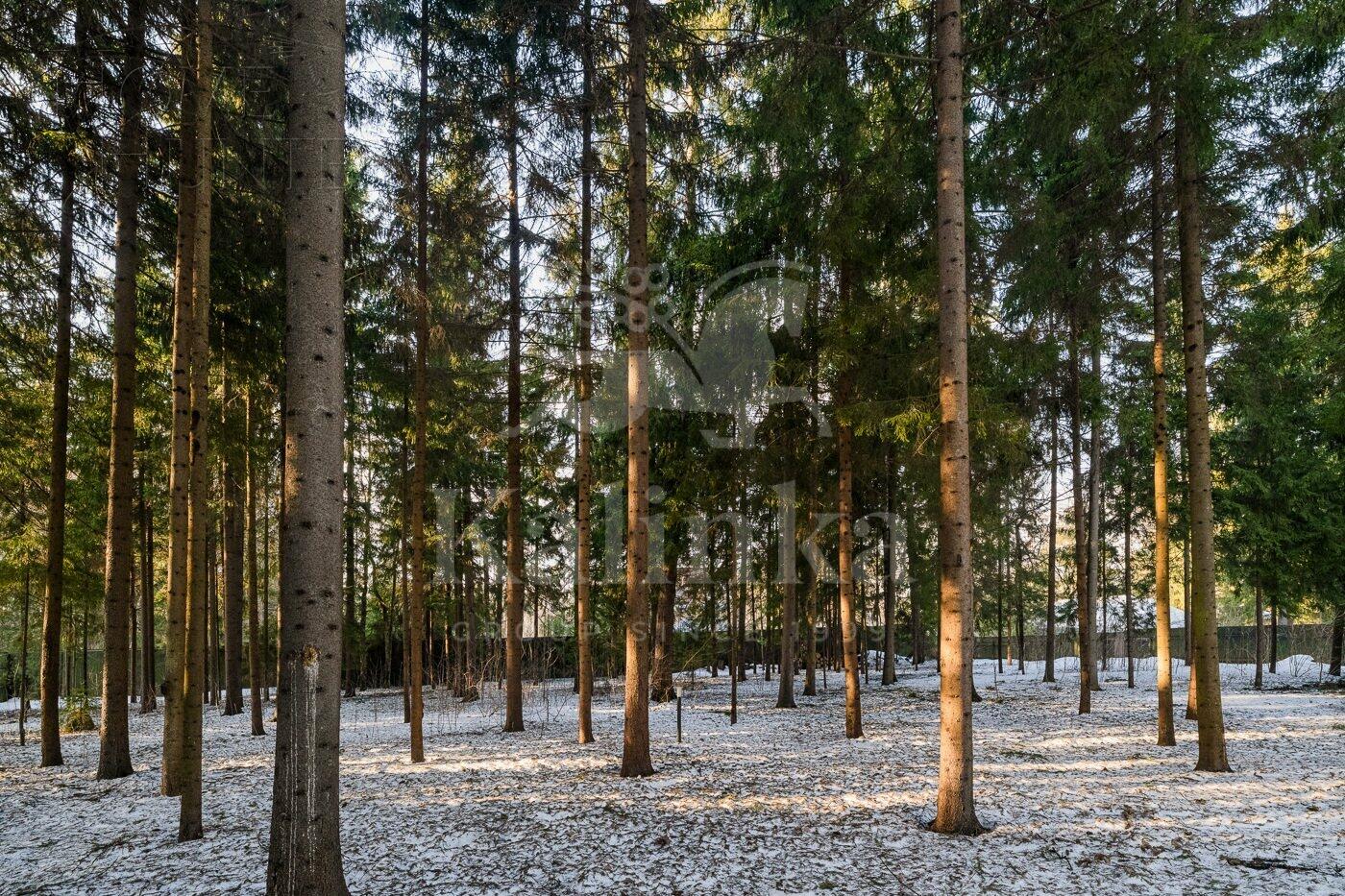 2-этажный коттедж 570 м² с отделкой