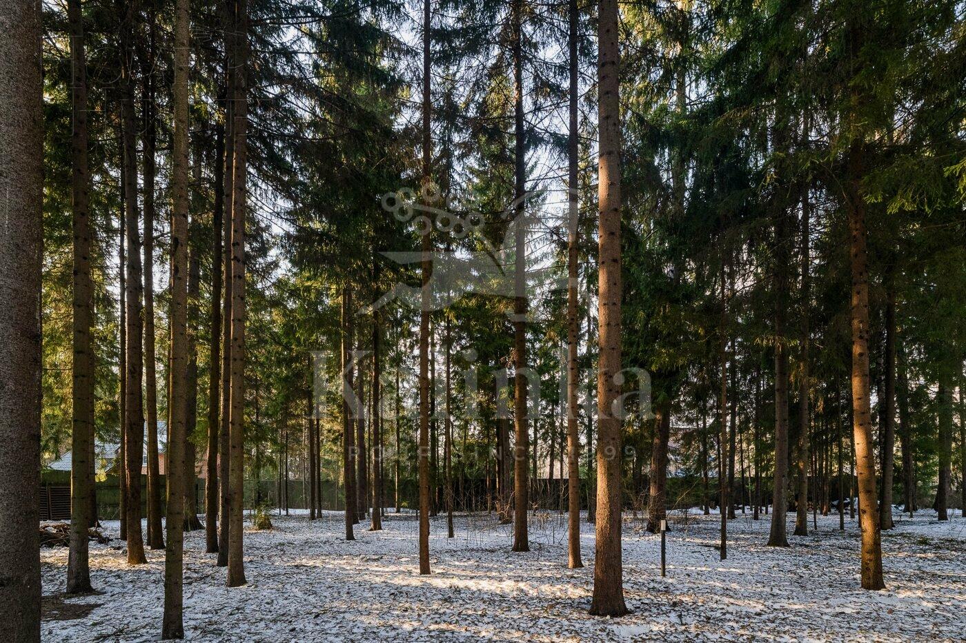 2-этажный коттедж 570 м² с отделкой