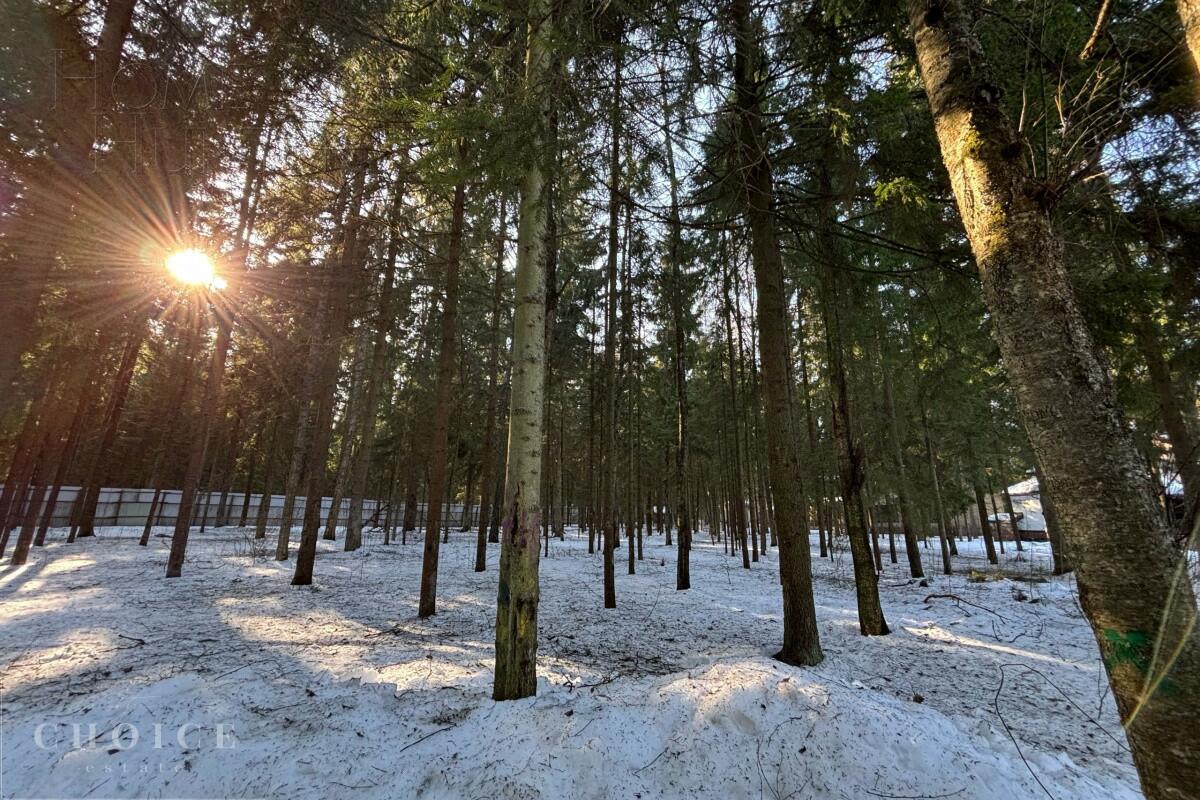 Участок 34.19 сот. в охраняемом поселке
