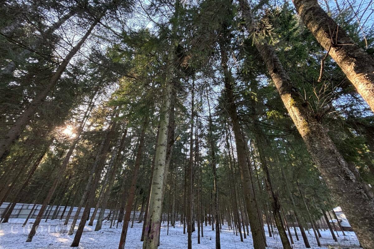 Участок 34.19 сот. в охраняемом поселке