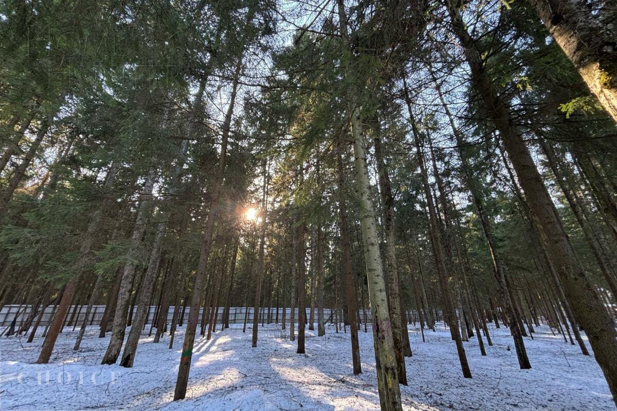 Участок 34.19 сот. в охраняемом поселке