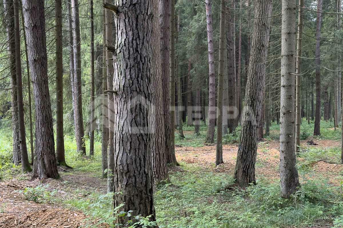 2-этажный коттедж 359 м² без отделки