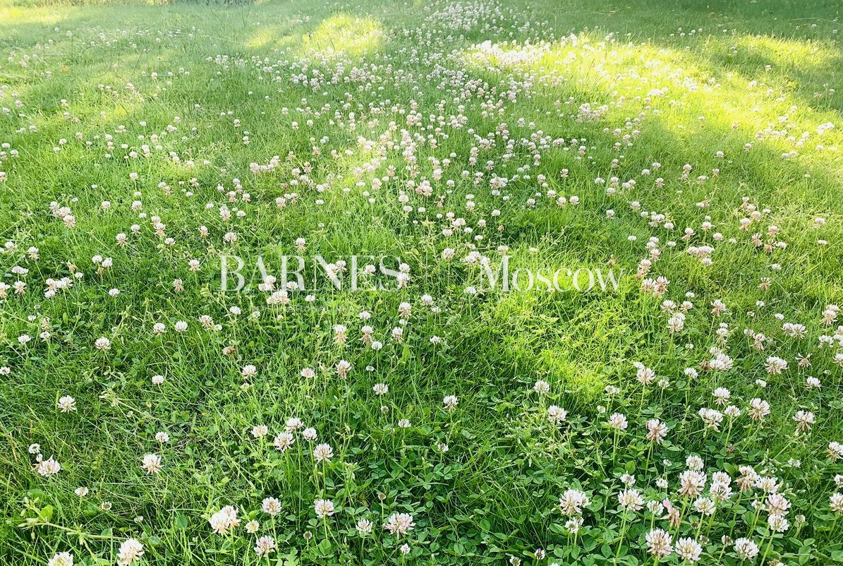 Участок 8.9 сот.