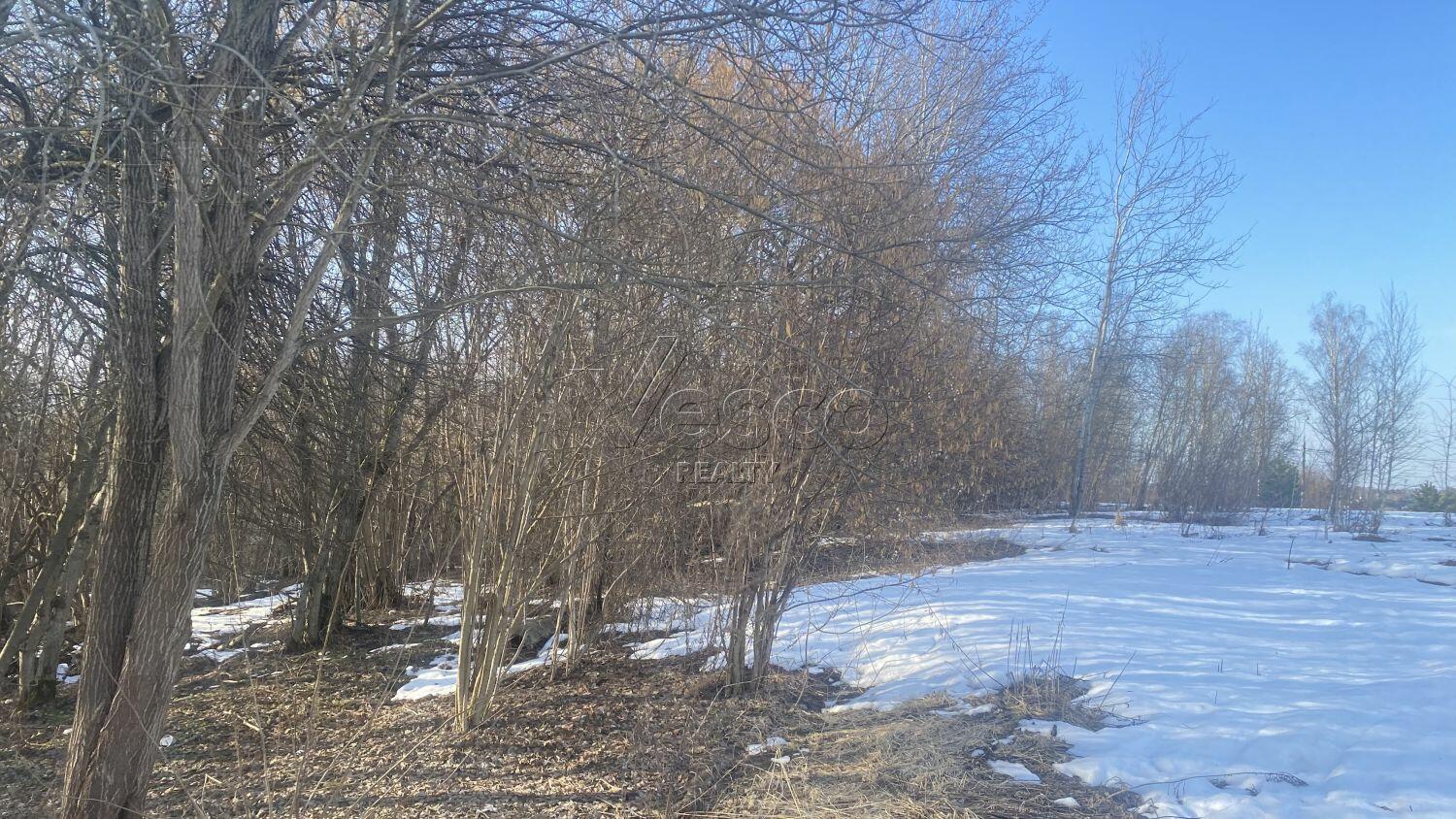 Участок 65 сот.