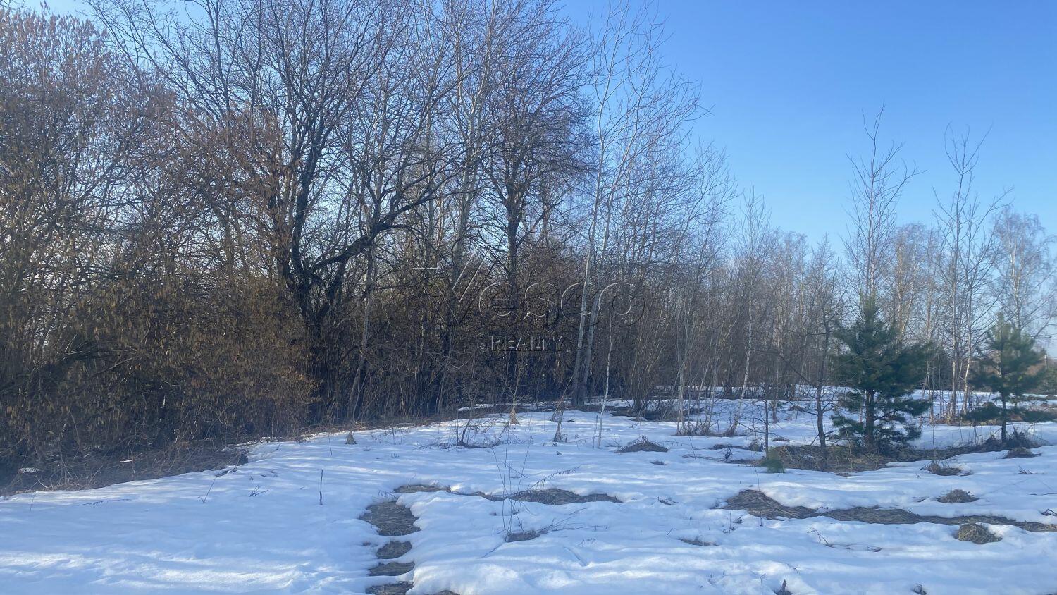 Участок 65 сот.