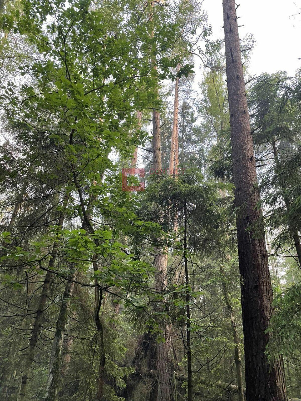 Участок 15 сот.