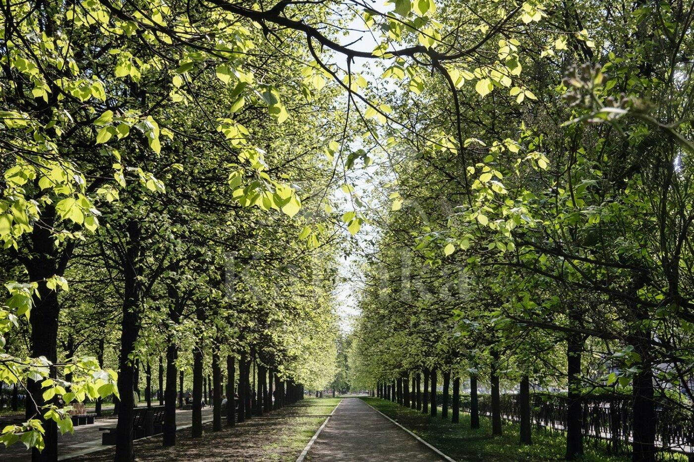 3-КОМН. КВАРТИРА С ОТДЕЛКОЙ 90 М² НА 3 ЭТАЖЕ