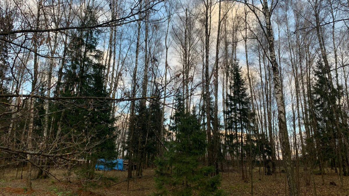 Участок 10 сот. в охраняемом поселке