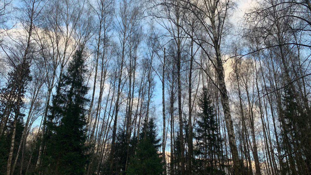 Участок 22 сот. в охраняемом поселке