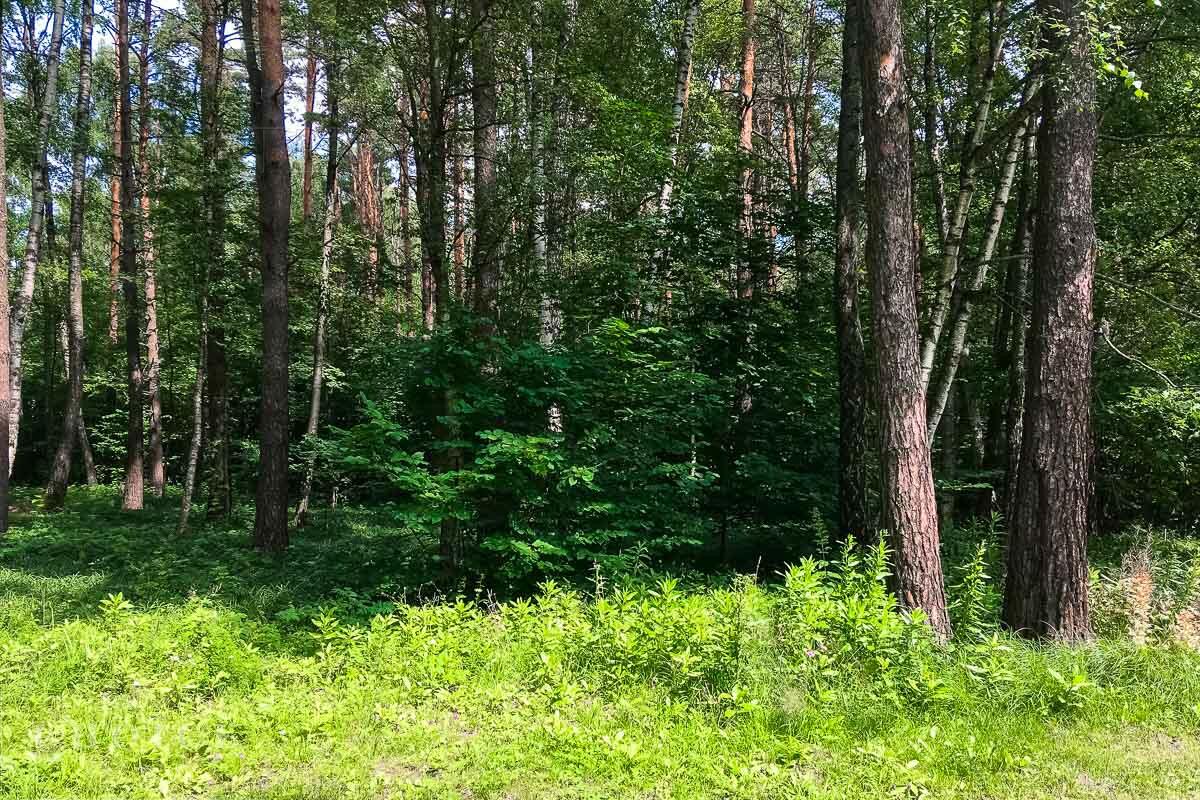 Участок 19.5 сот. в охраняемом поселке