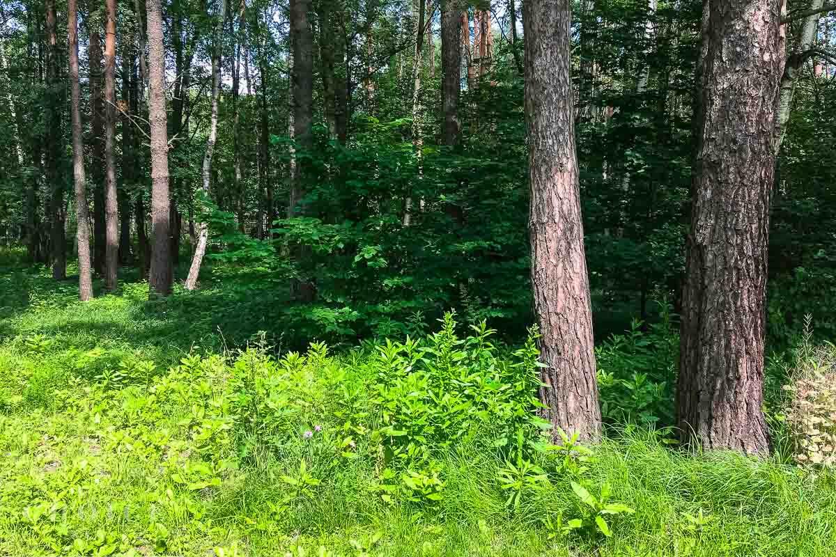 Участок 19.5 сот. в охраняемом поселке