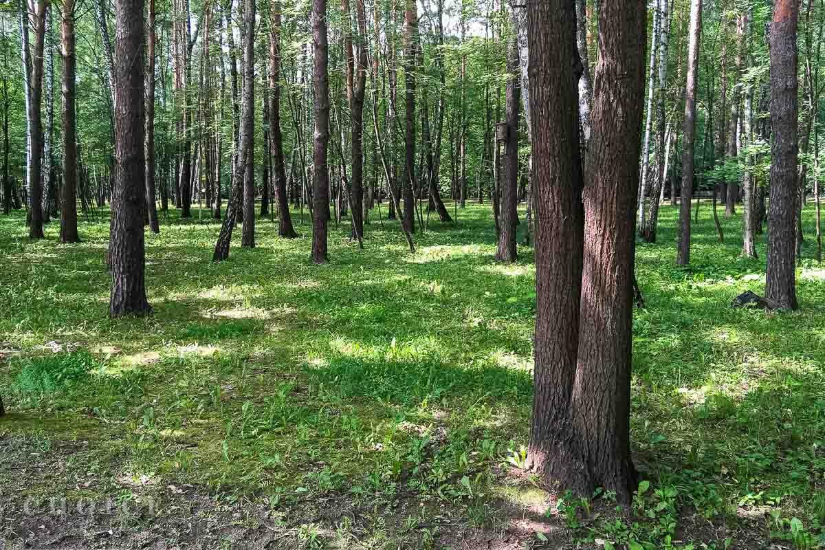 Участок 19.5 сот. в охраняемом поселке