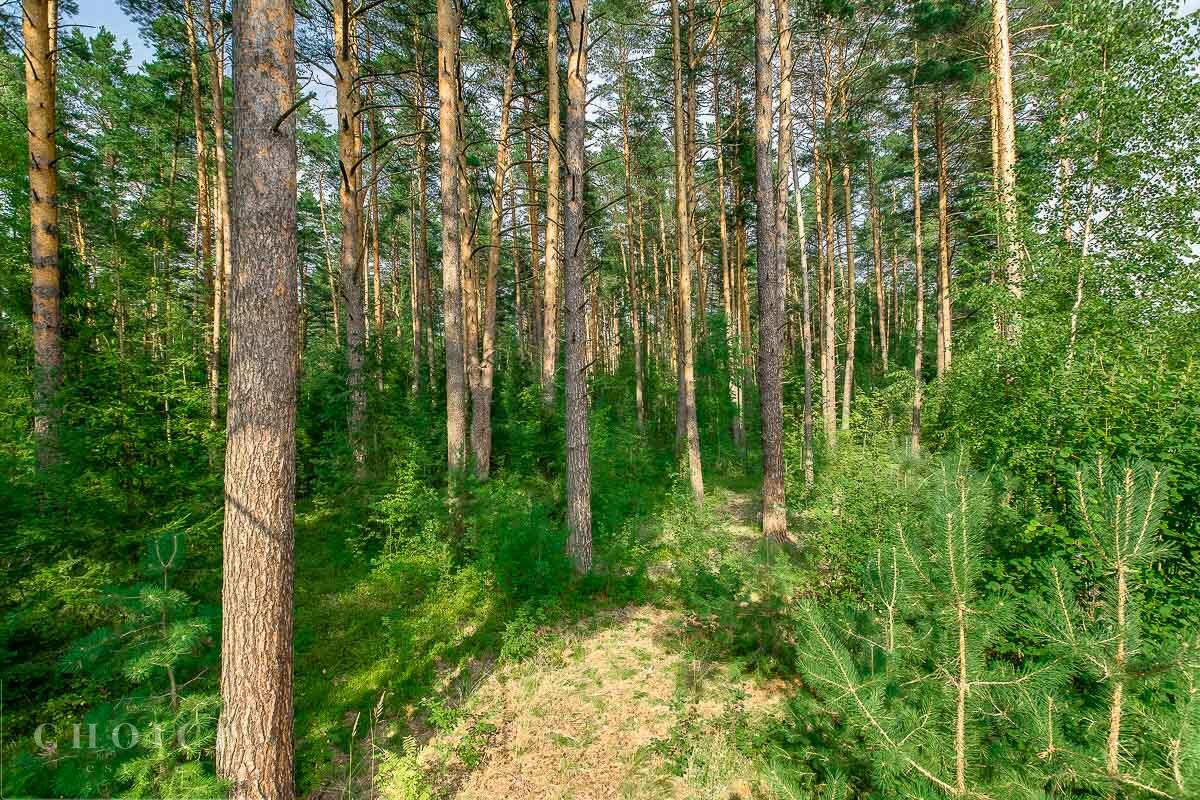 Участок 41.5 сот. в охраняемом поселке