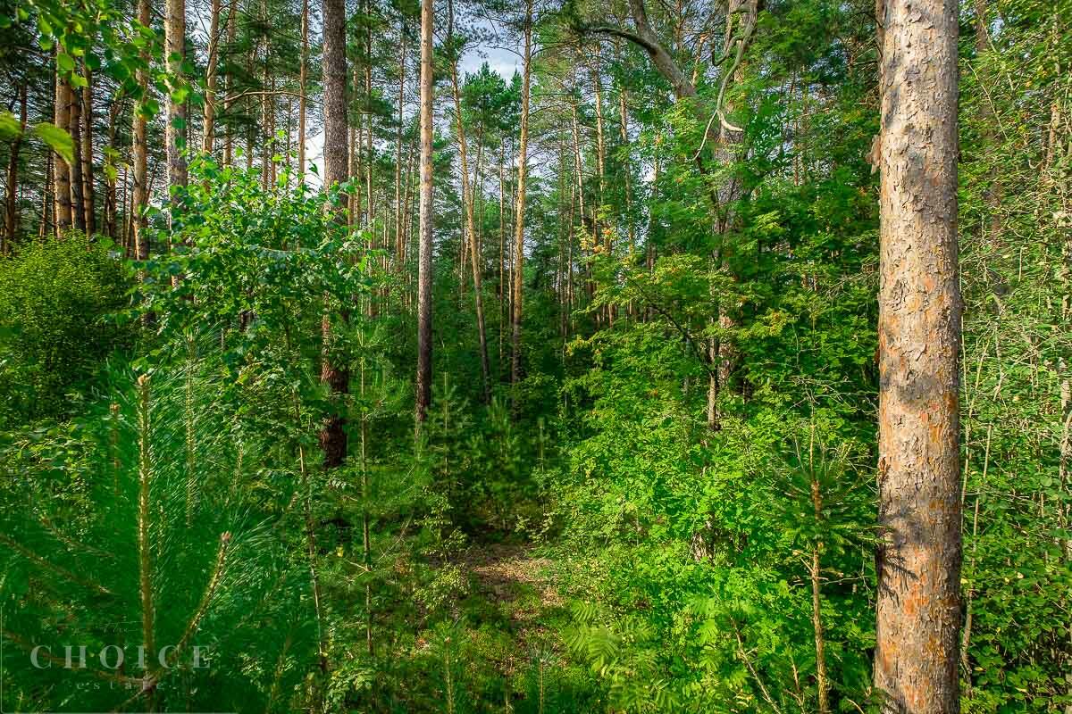 Участок 32.16 сот.