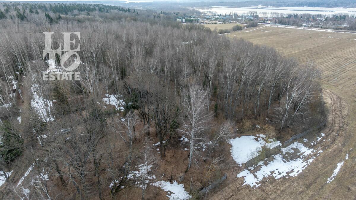 Участок 250 сот.