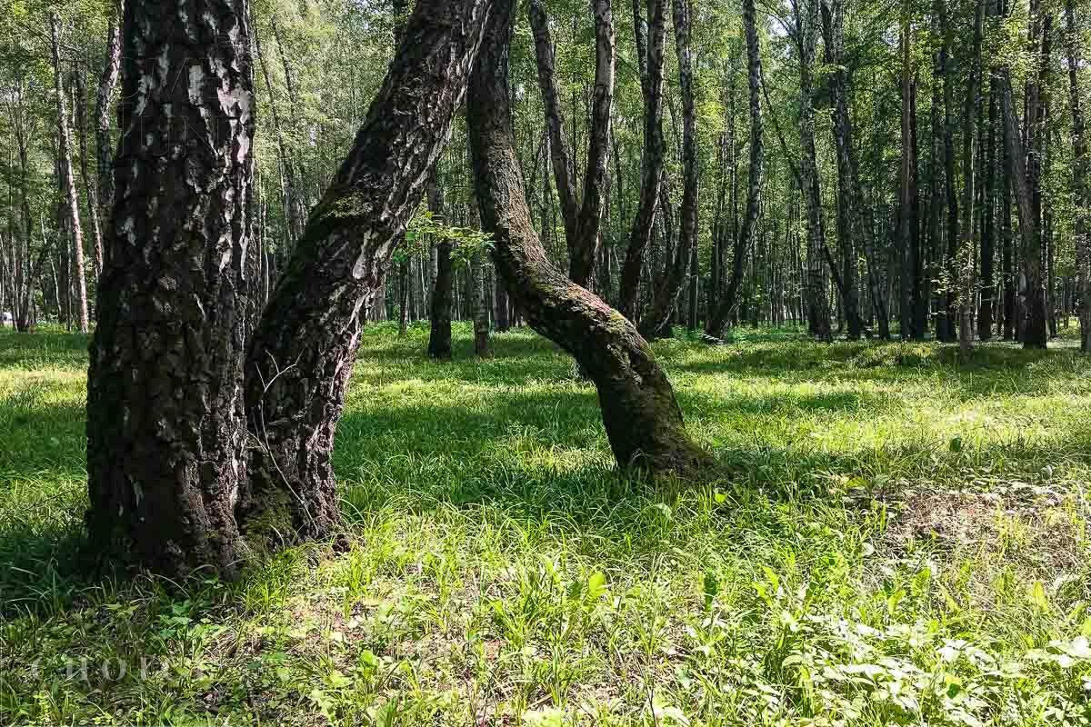 Участок 12.62 сот. в охраняемом поселке