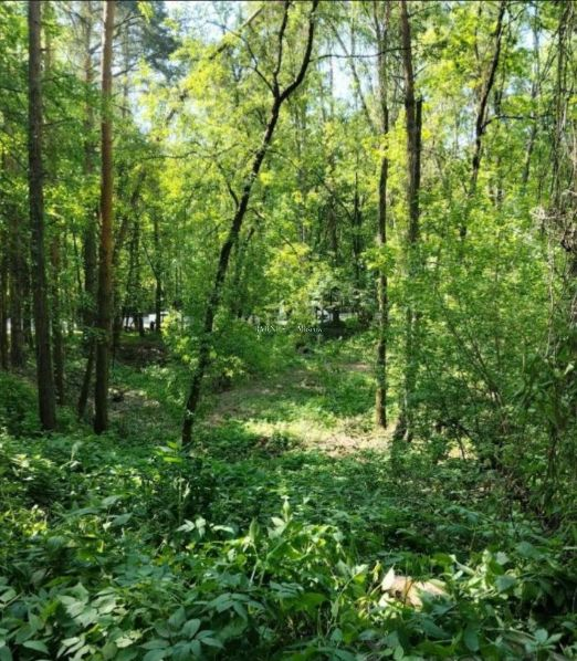 Участок 80 сот. в охраняемом поселке