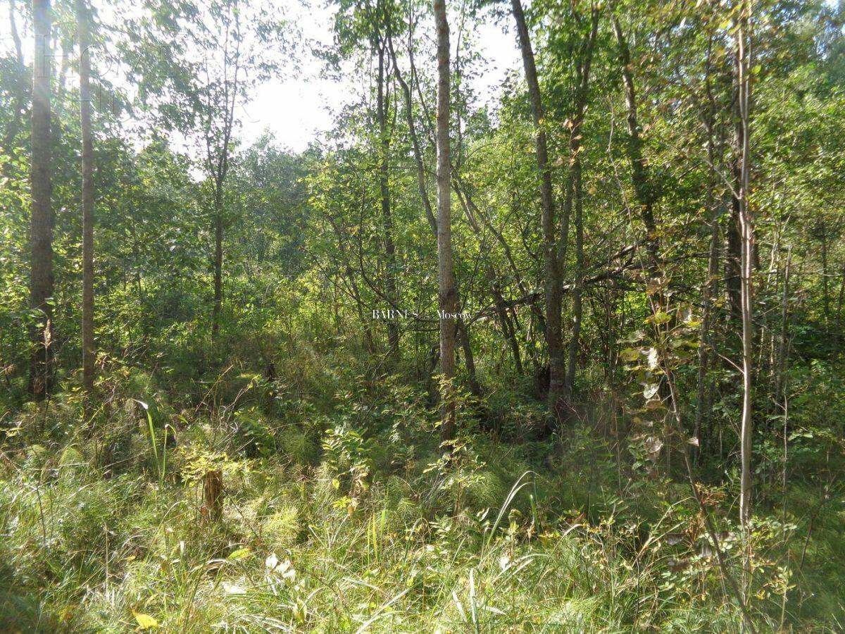 Участок 80 сот. в охраняемом поселке