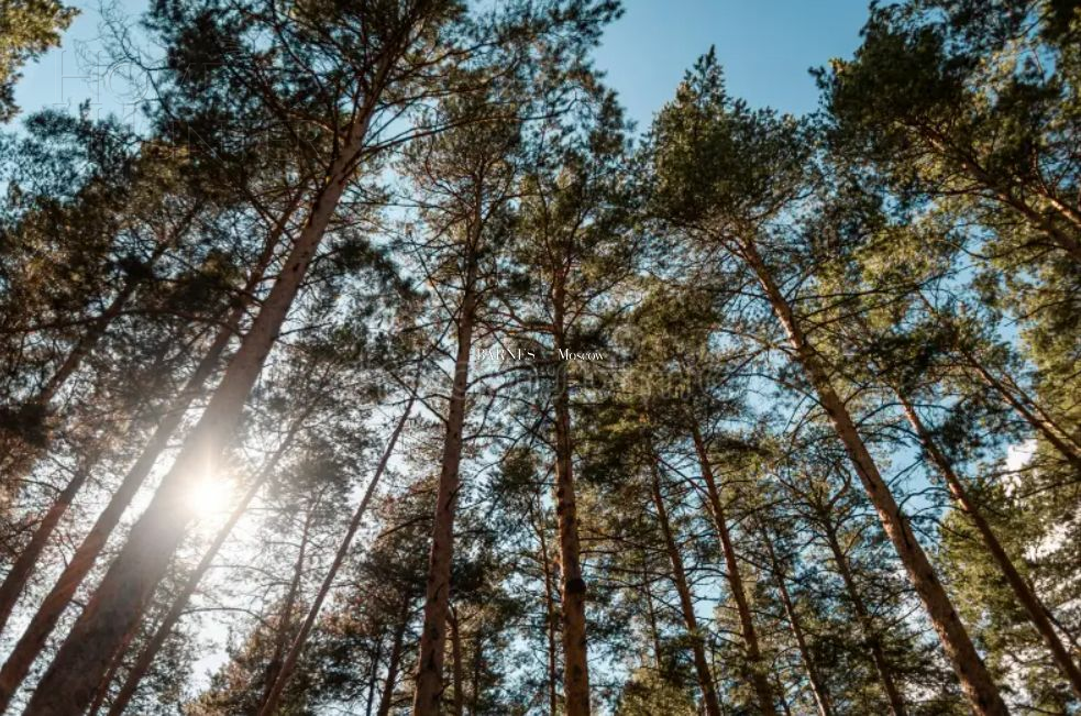 Участок 18 сот.