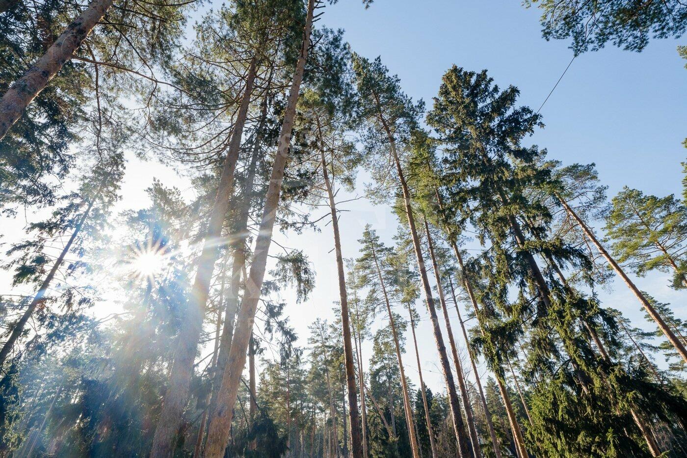 3-этажный коттедж 420 м² с отделкой