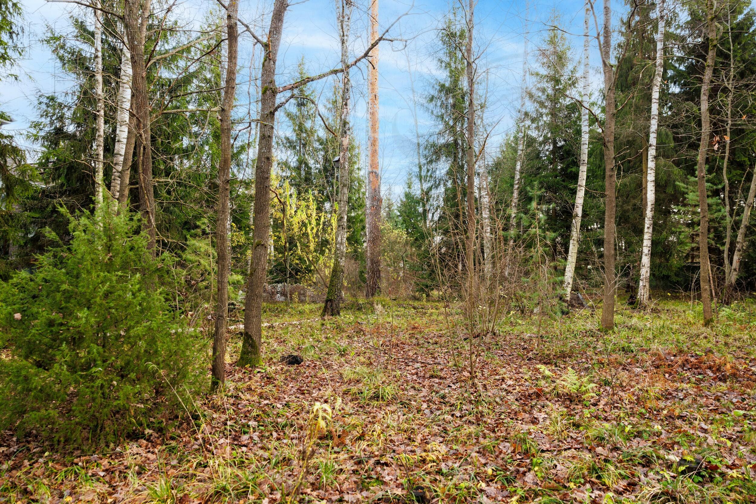 2-этажный коттедж 700 м² без отделки