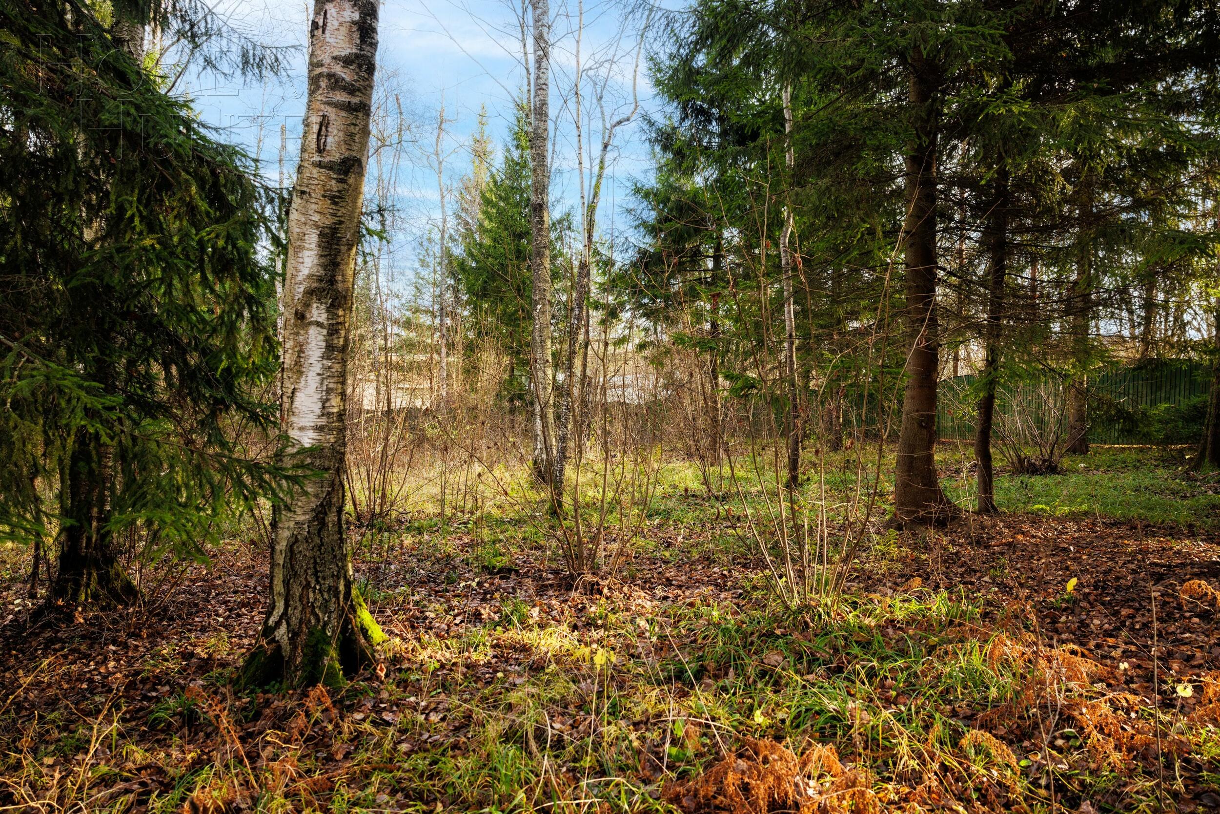 2-этажный коттедж 700 м² без отделки