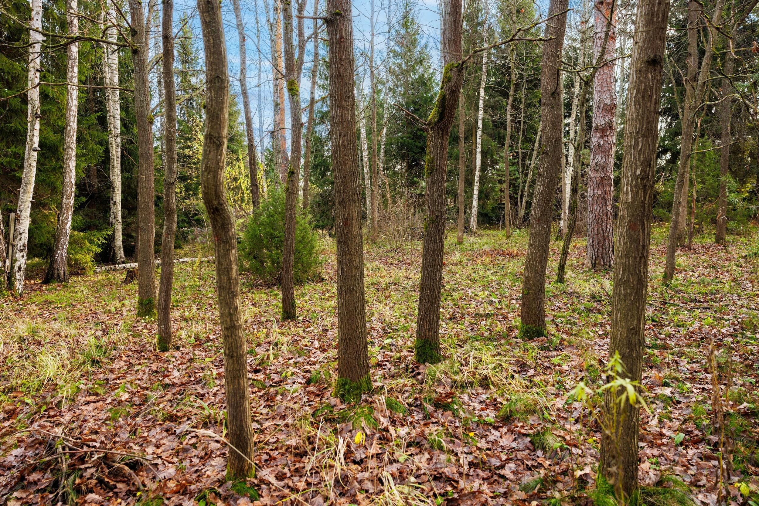 2-этажный коттедж 700 м² без отделки