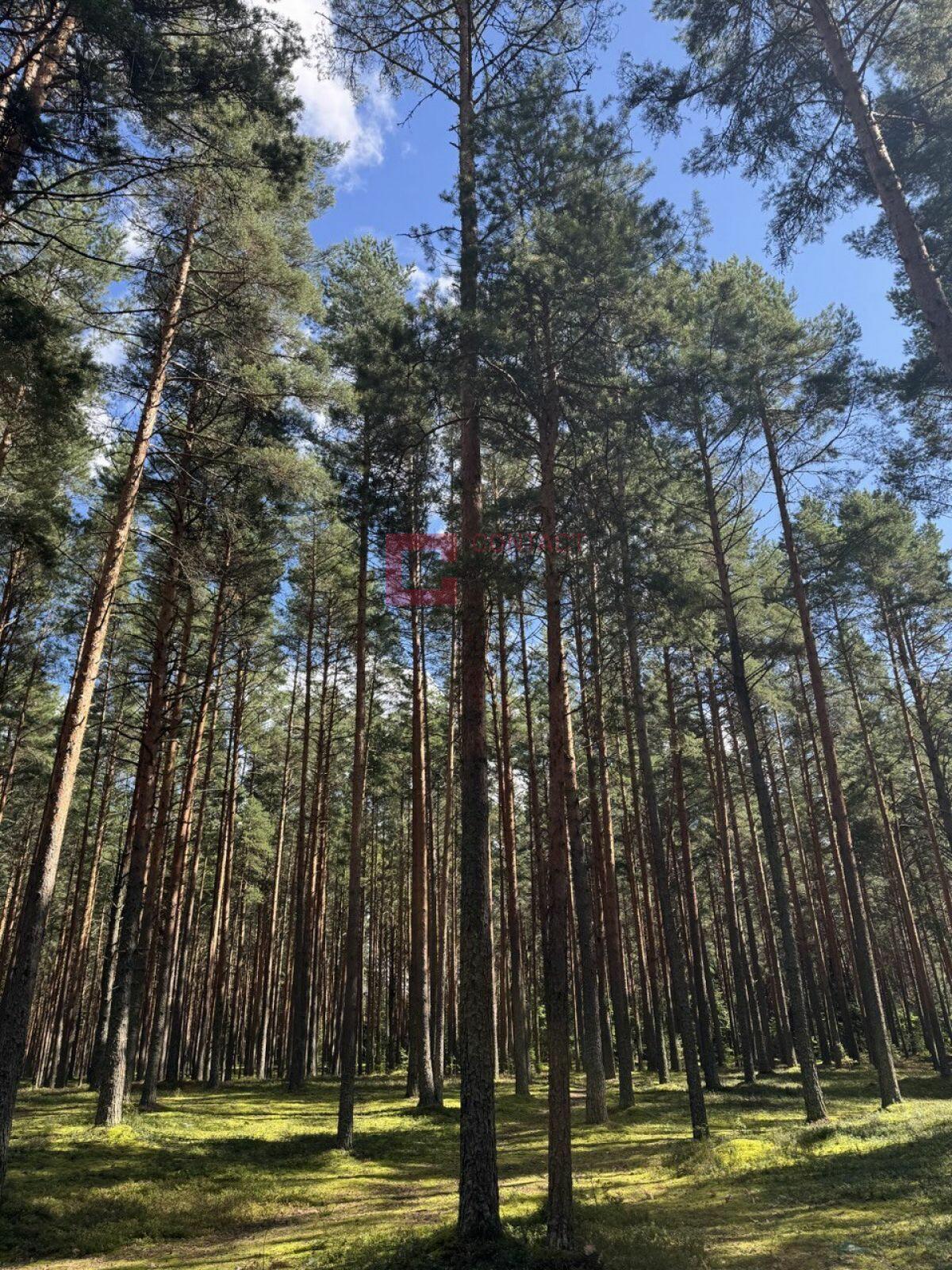 Участок 524 сот. в охраняемом поселке