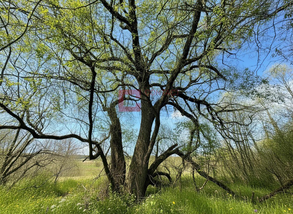 Участок 50 сот. в охраняемом поселке