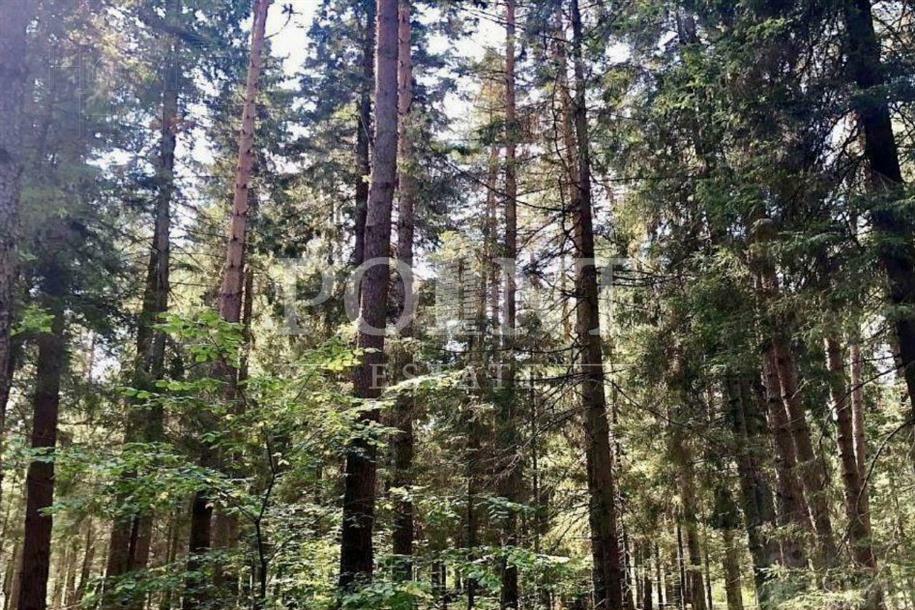 Участок 120 сот. в охраняемом поселке