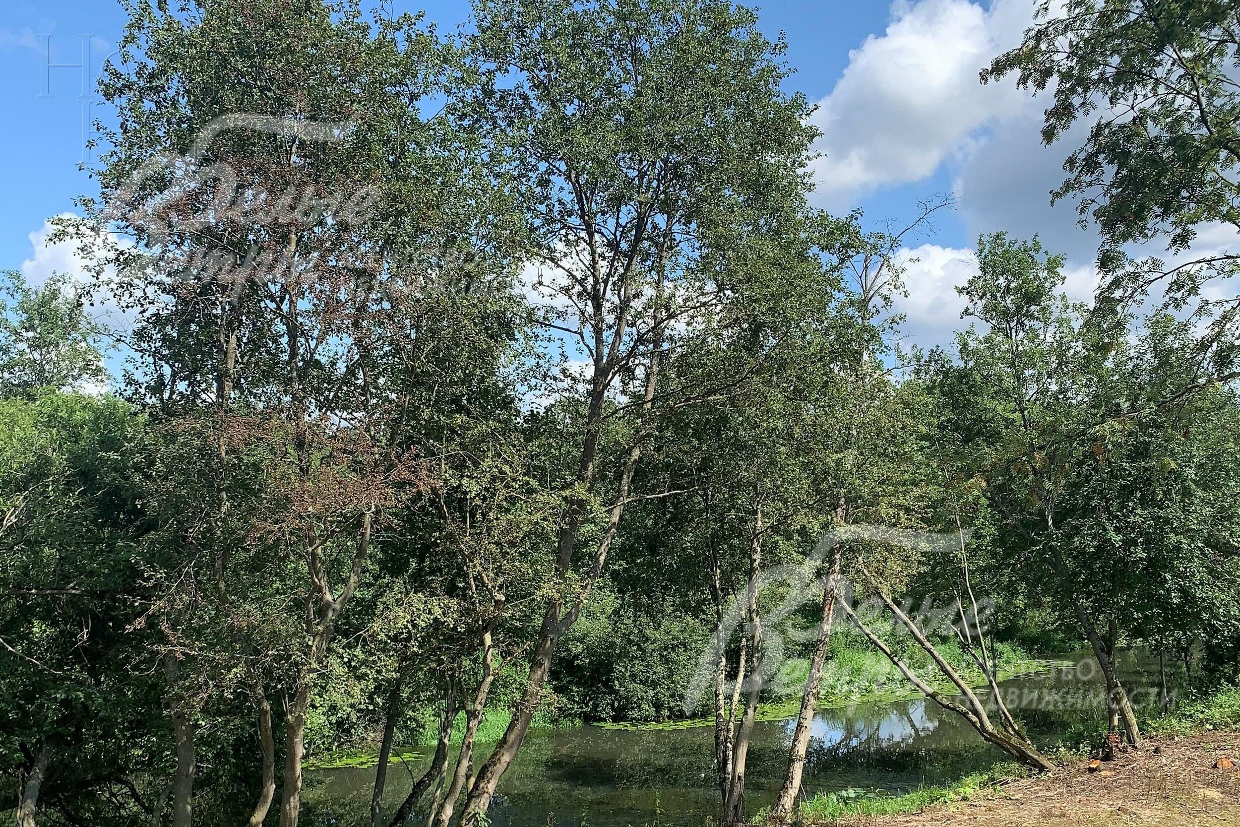 2-этажный коттедж 495 м² без отделки