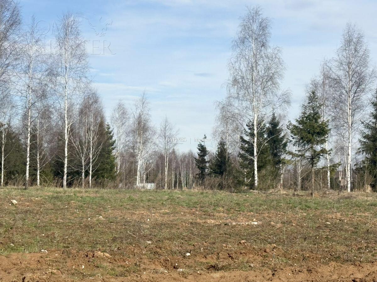 Участок 45 сот.