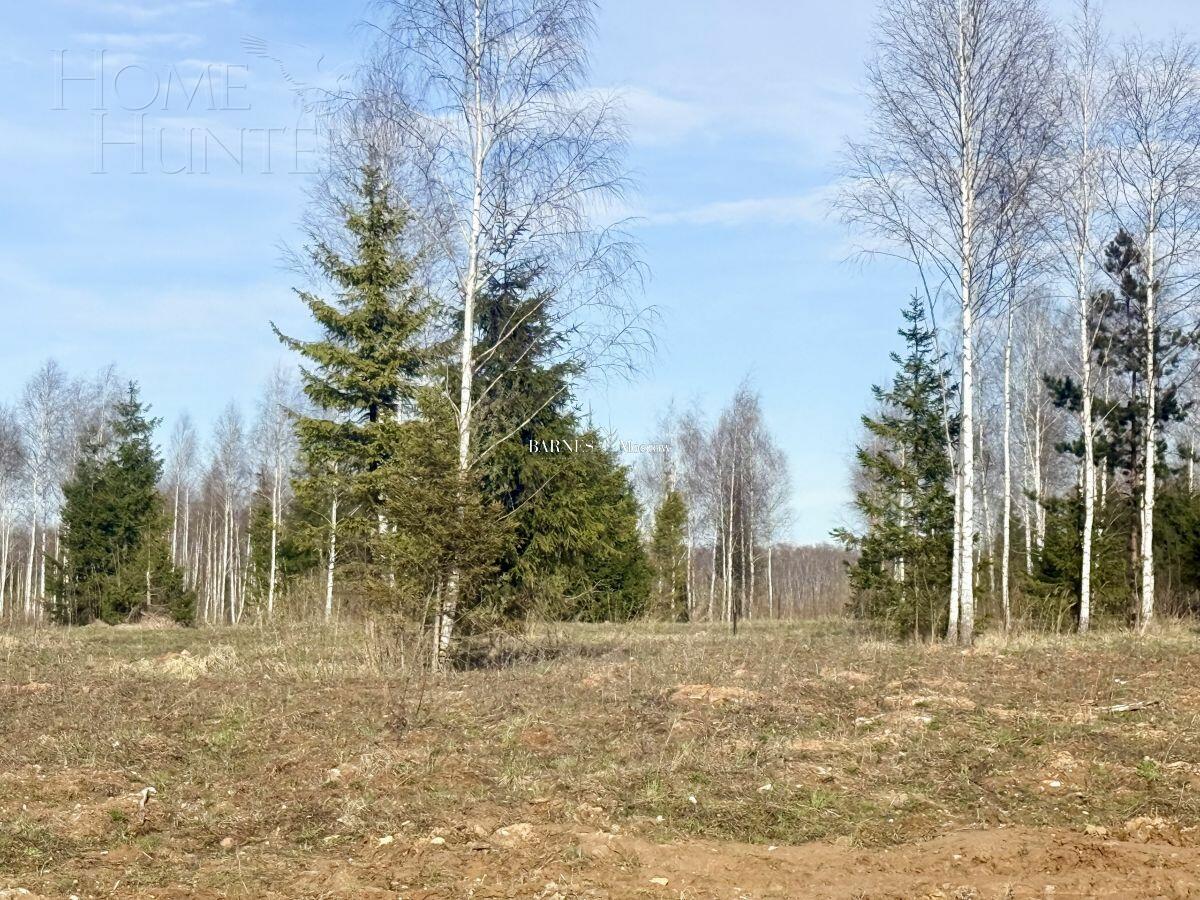 Участок 45 сот.