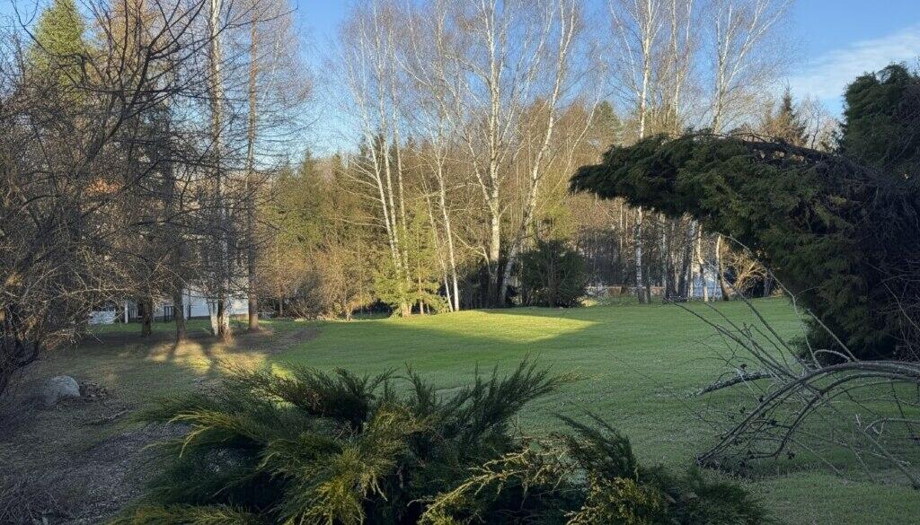 Участок 2 200 сот.