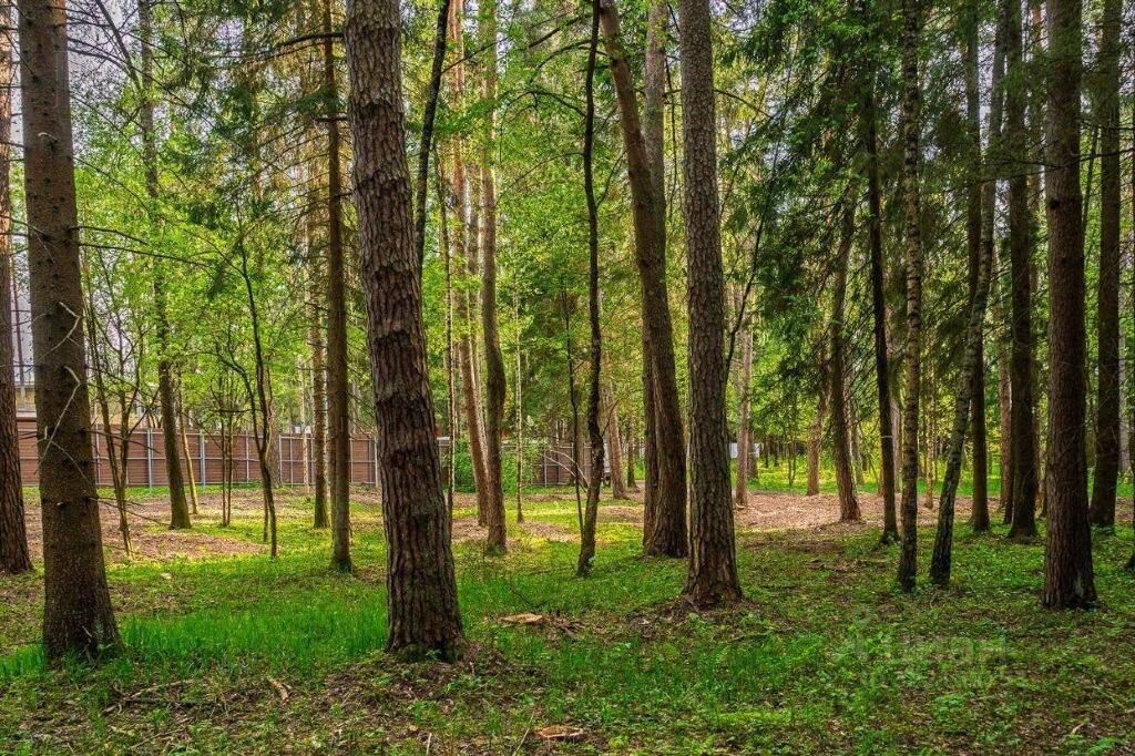 Участок 2 200 сот.