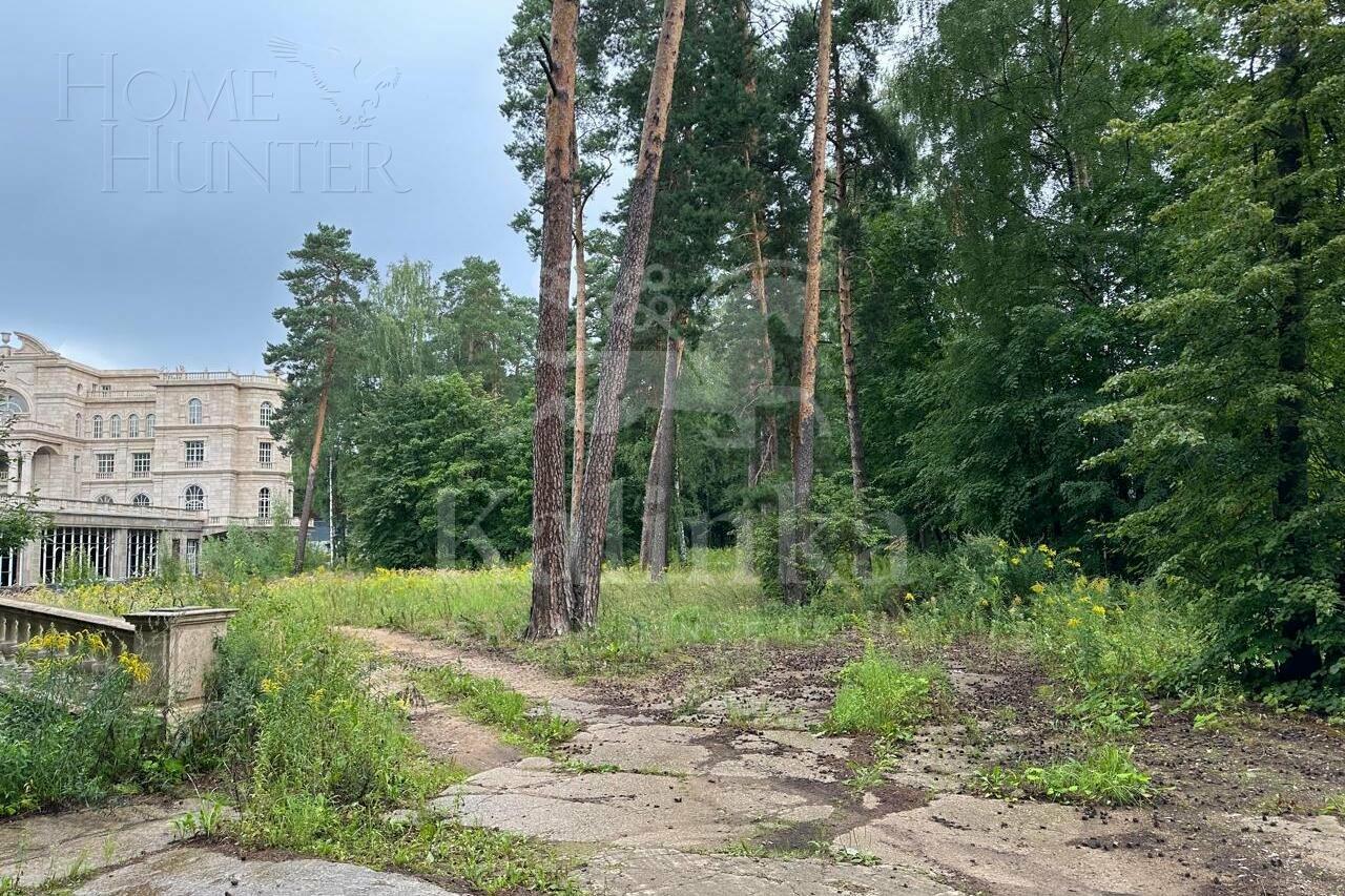 Участок 250 сот.