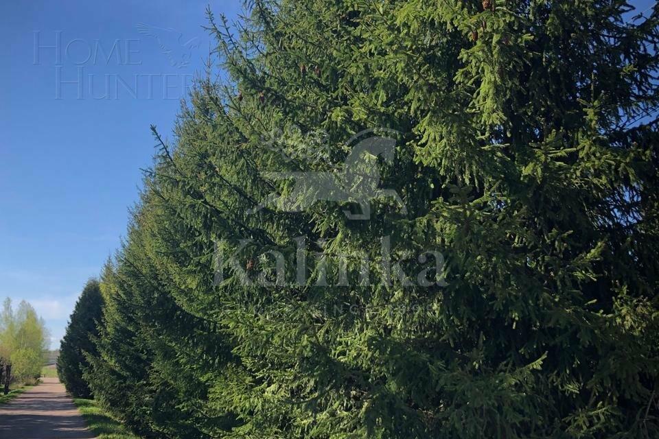 Участок 15 сот.