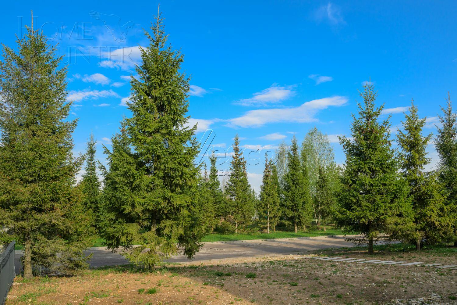 2-этажный коттедж 803 м² без отделки