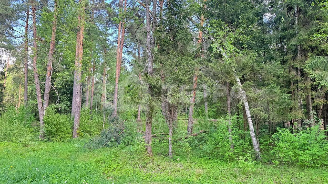 Участок 18 сот.
