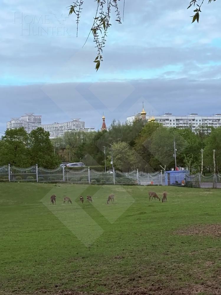 1-КОМН. КВАРТИРА БЕЗ ОТДЕЛКИ 52 М² НА 6 ЭТАЖЕ