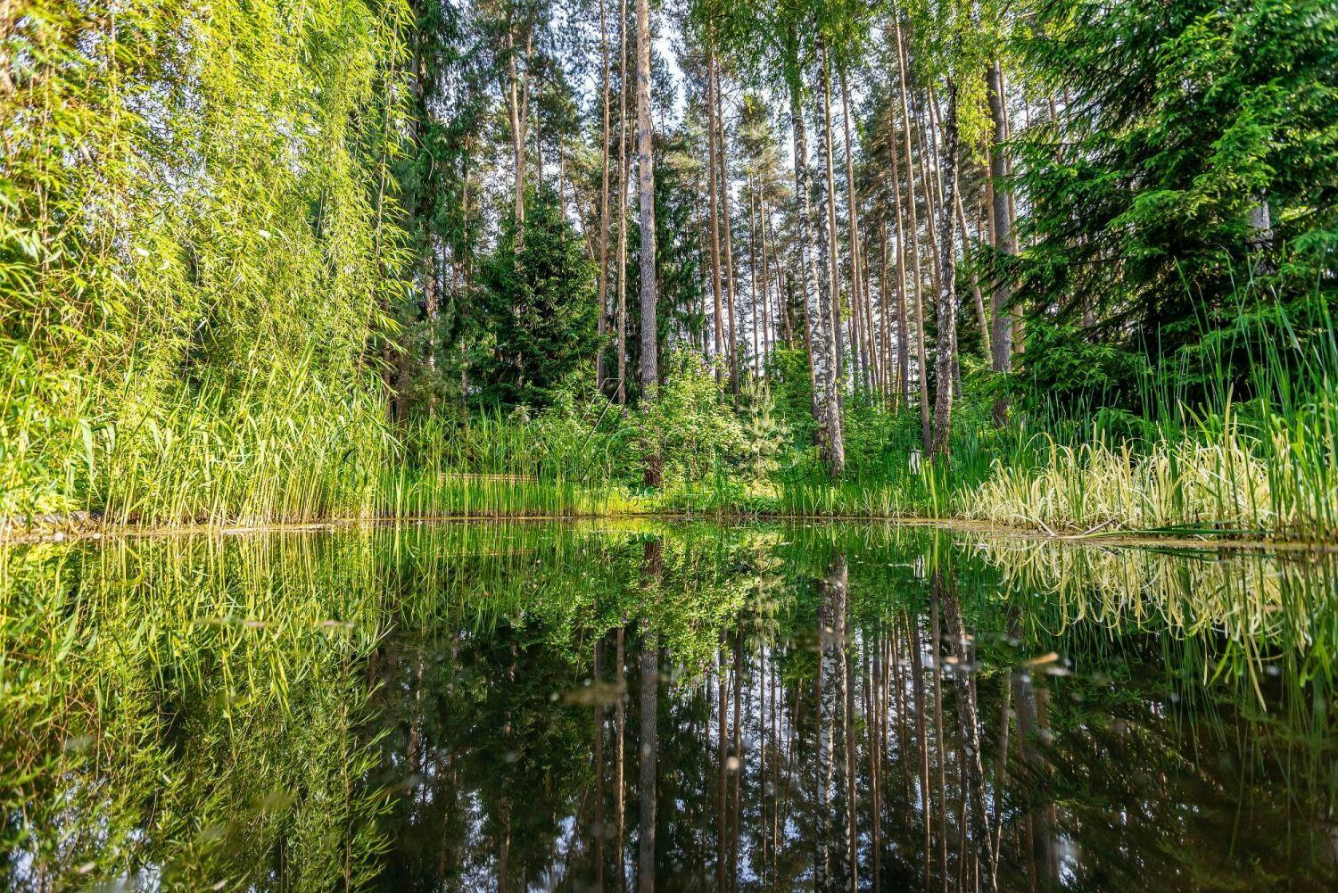 3-этажный коттедж 2 400 м² с отделкой