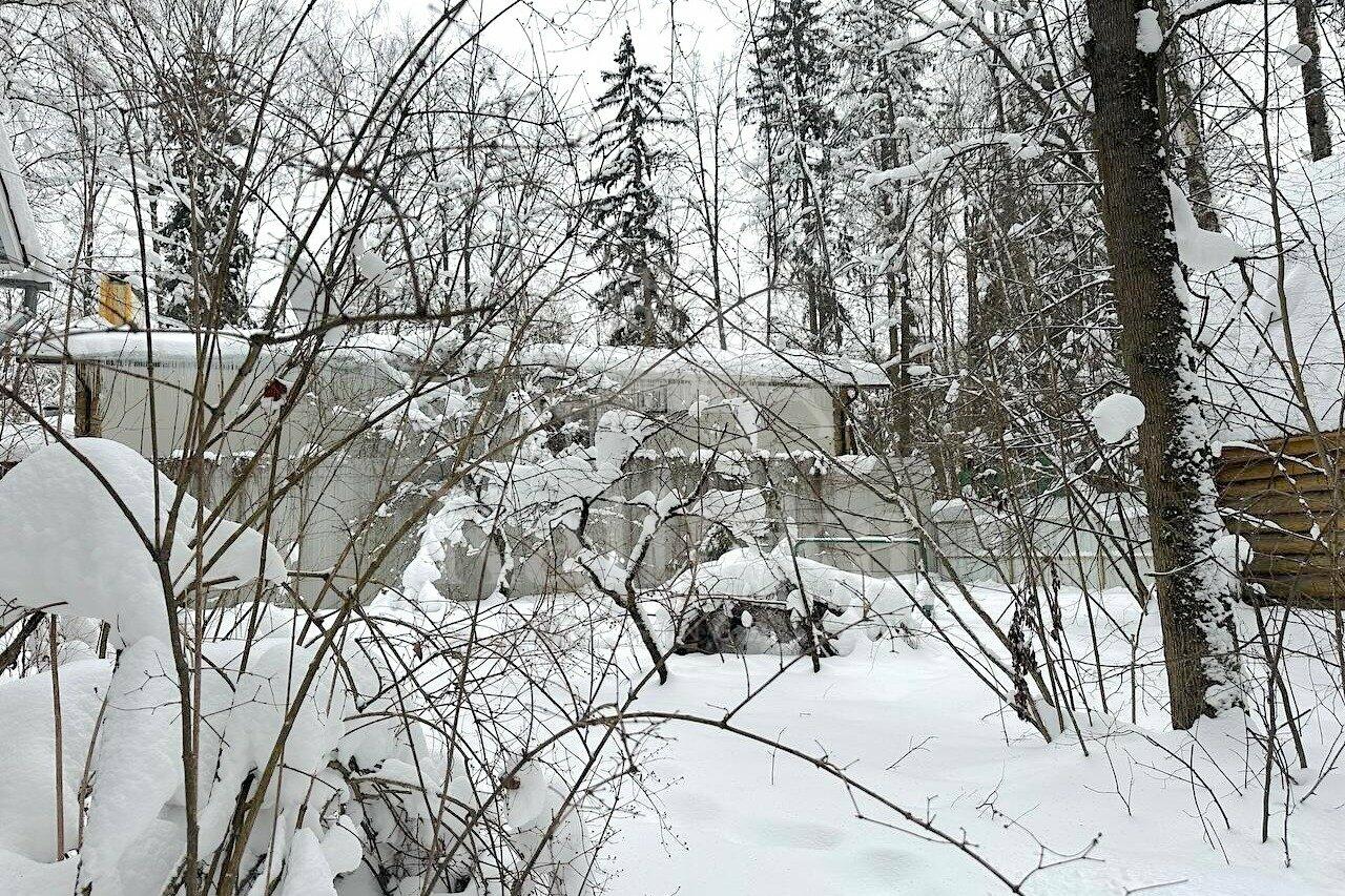 Участок 12.56 сот.