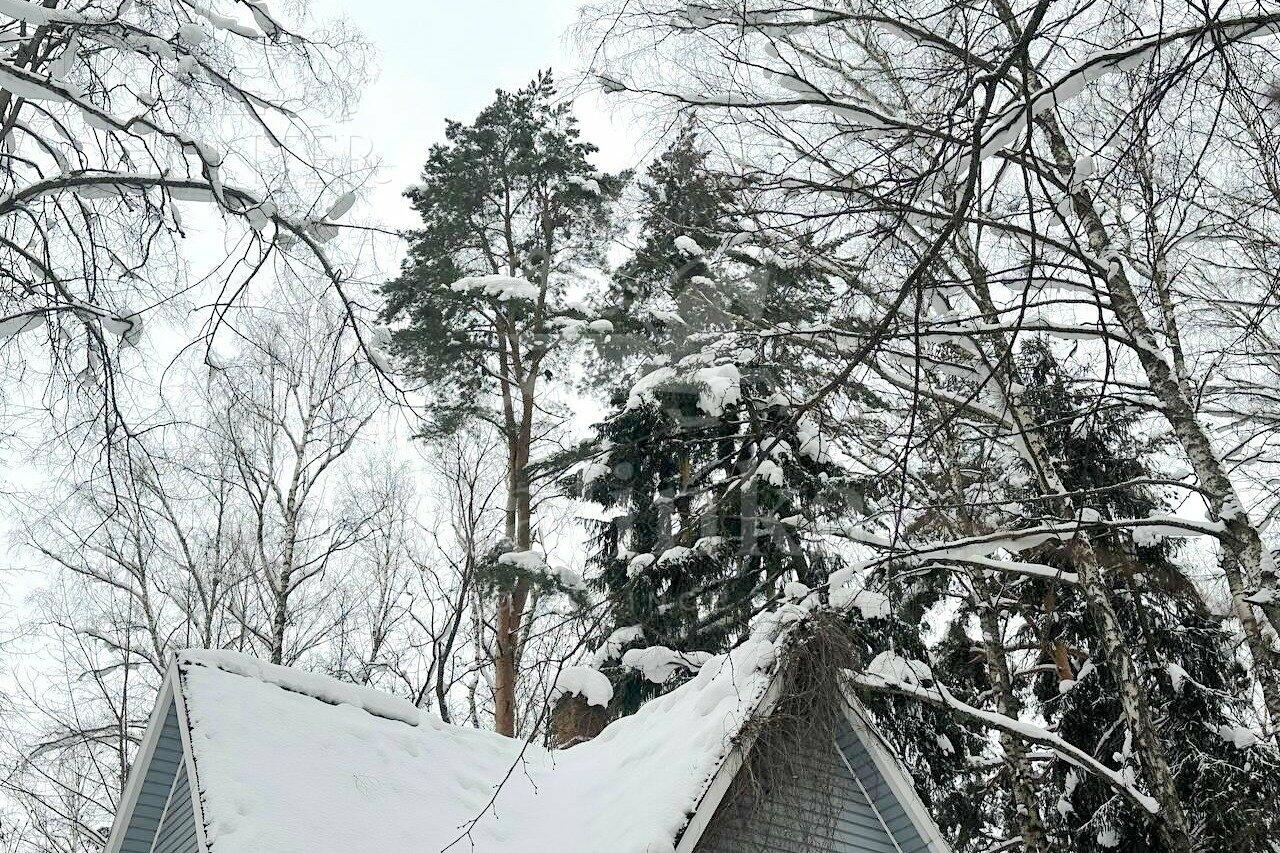 Участок 12.56 сот.